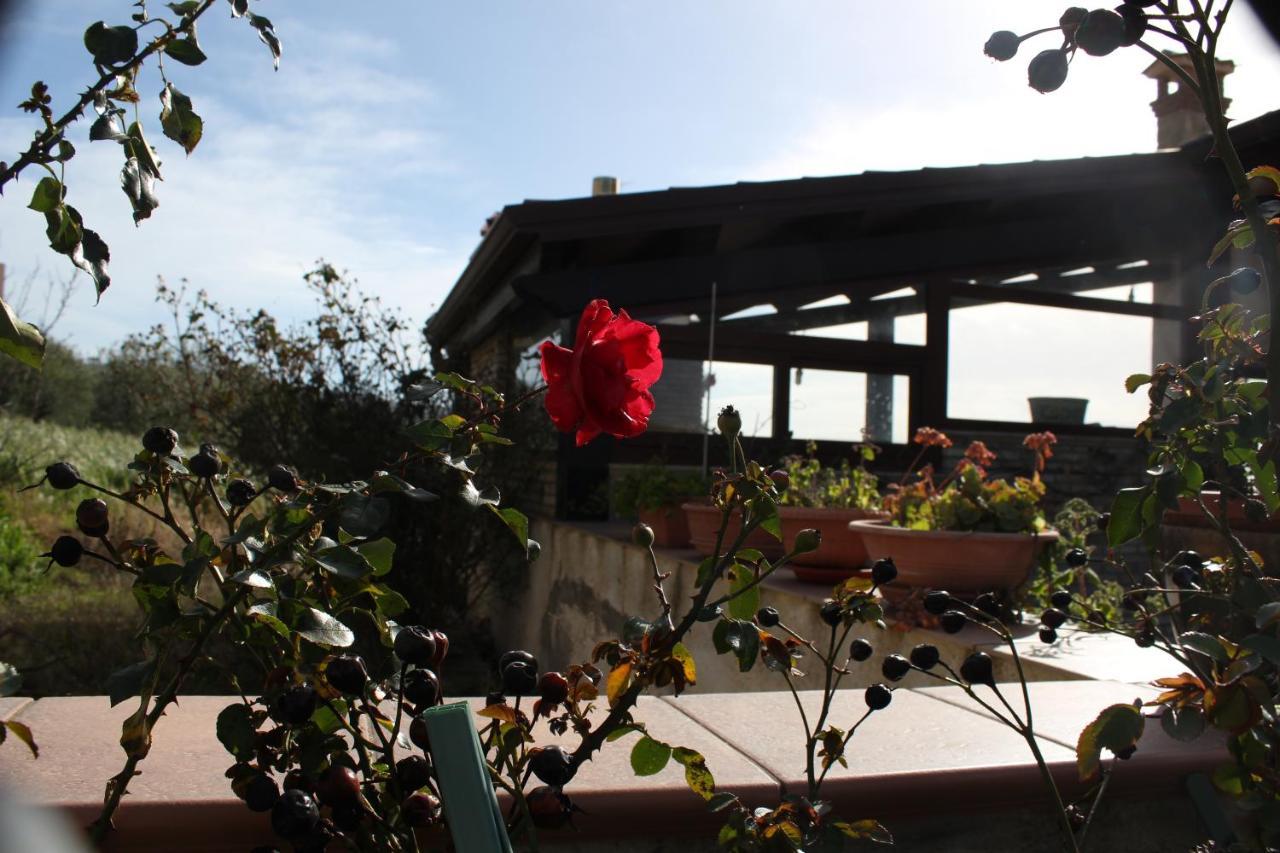 La Casa Di Bia Bed & Breakfast Corleone Eksteriør bilde