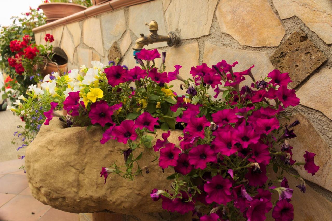 La Casa Di Bia Bed & Breakfast Corleone Eksteriør bilde